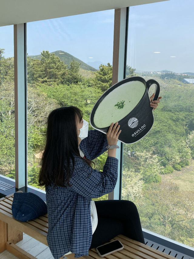 제주 초록초록 오설록 이니스프리 카페