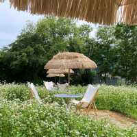 Memile Lounge
