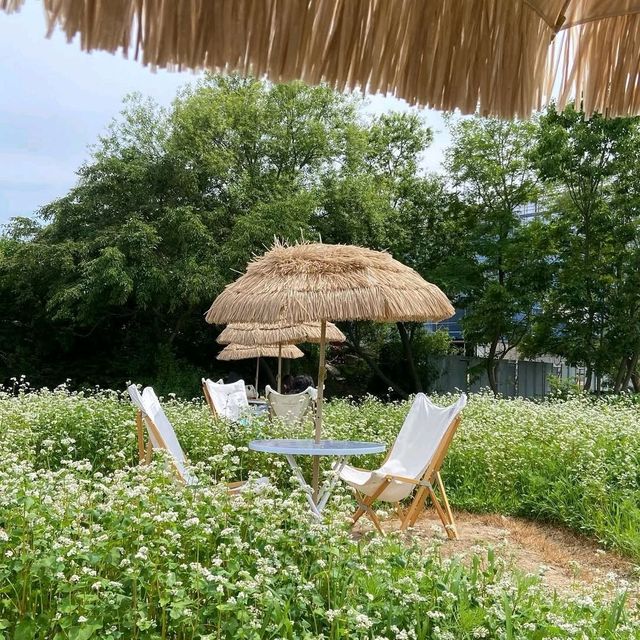 Memile Lounge