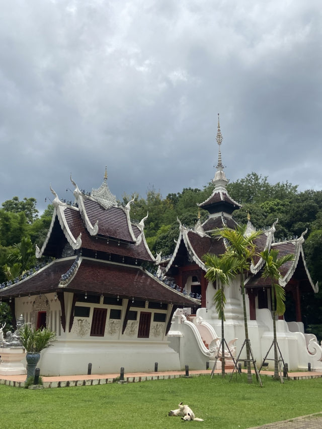 วัดป่าดาราภิรมย์ – สถานที่สงบงามแห่งแม่ริม