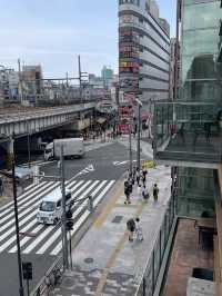🛍️東京・上野｜上野アメ横商店街 🎌にぎわいの詰まった“昭和レトロ”な食と買い物天国！ 