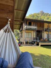 ม่อนอิงสุข eco stay โฮมสเตย์กลางป่า เชียงใหม่