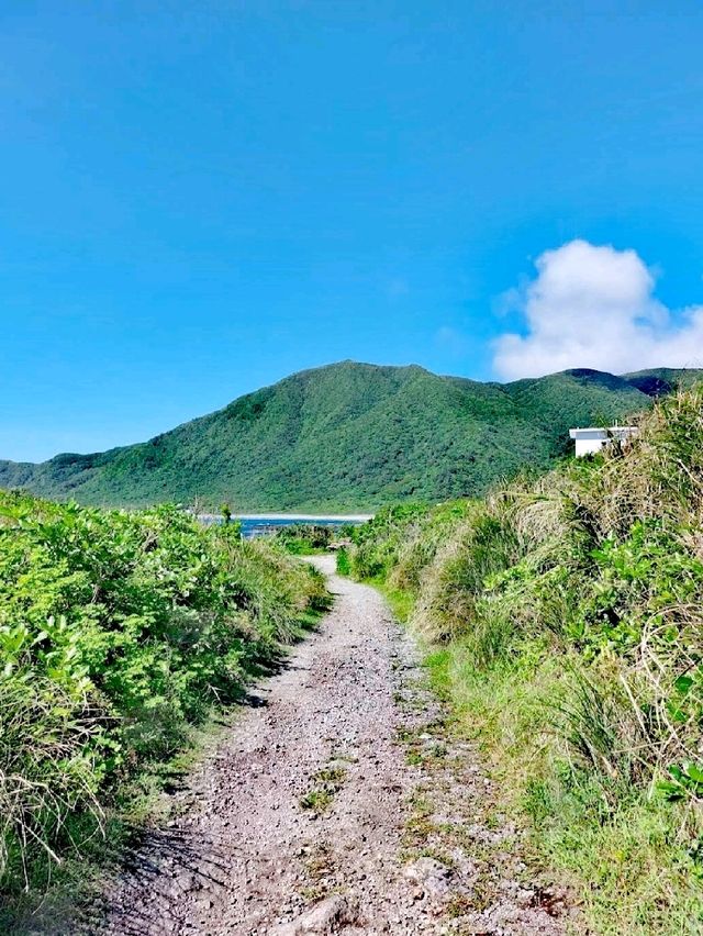 東清祕境