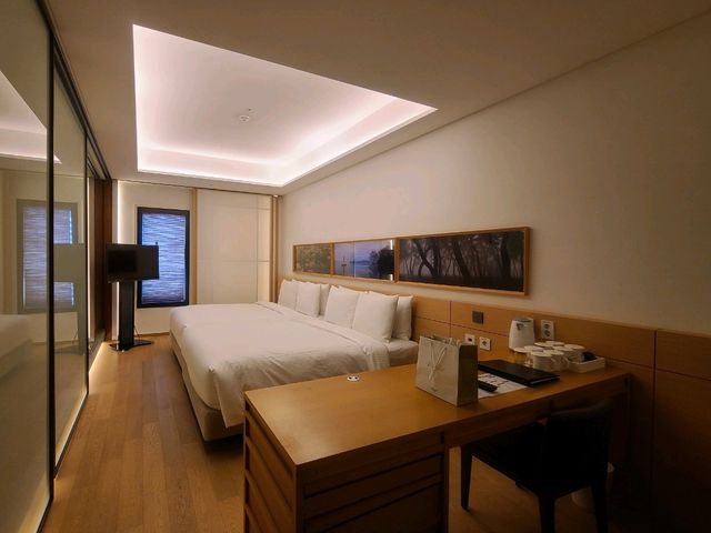 명동호캉스~!!! 소테츠호텔즈 더 스프라지르 서울 명동 Deluxe High Floor Family Twin