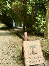 Sip, Breathe, Escape: Mimpi Hutan Café in the Garden of Eve