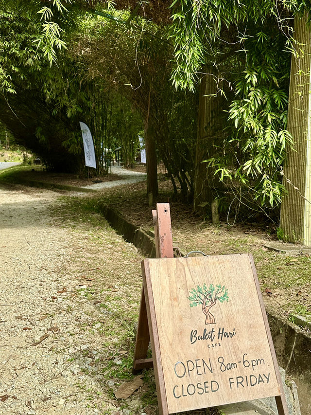 Sip, Breathe, Escape: Mimpi Hutan Café in the Garden of Eve