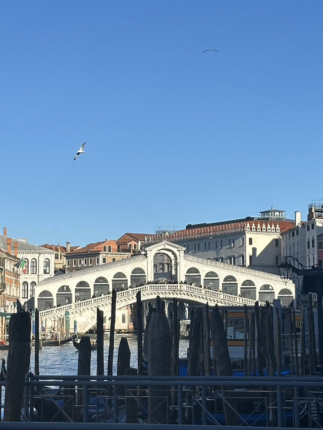 Rialto: Where Venice’s Soul Crosses The Grand Canal