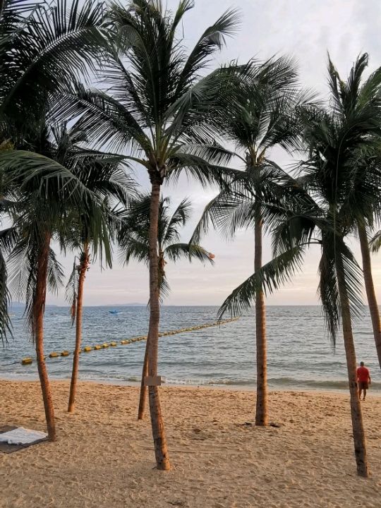 🌧️⛈️ Storm Incoming at the Beach – Nature’s Raw Beauty!