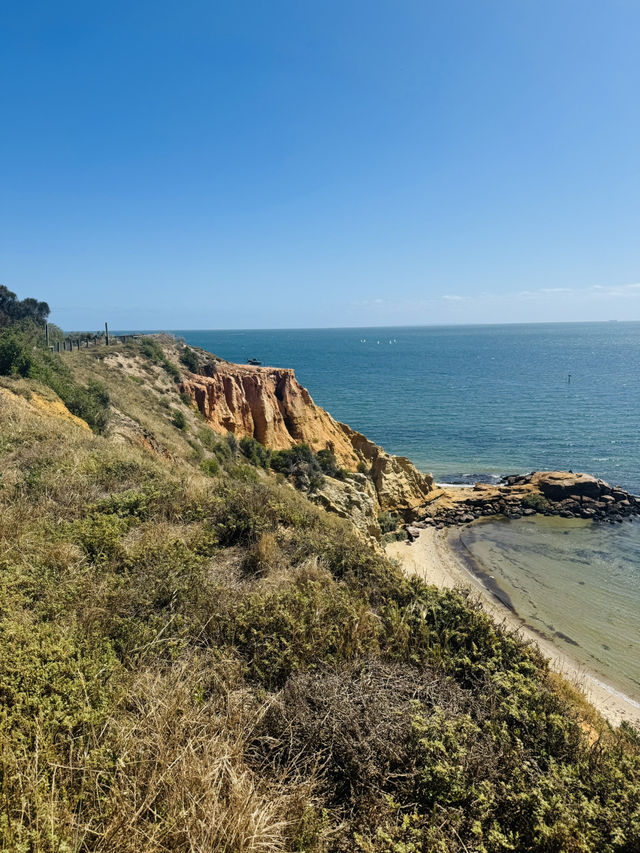 Red bluff lookout - Where the cliffs meet the clouds 