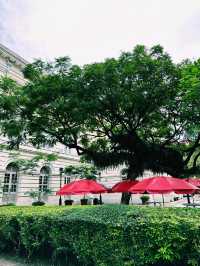 Colonial Grace Meets Cultural Depth – Outside the Asian Civilisations Museum