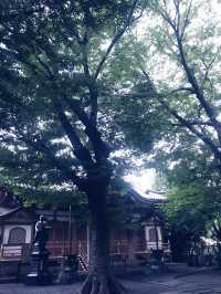 【大人な井の頭公園　東京　吉祥寺　三鷹　井の頭池アラウンドウォーキング】