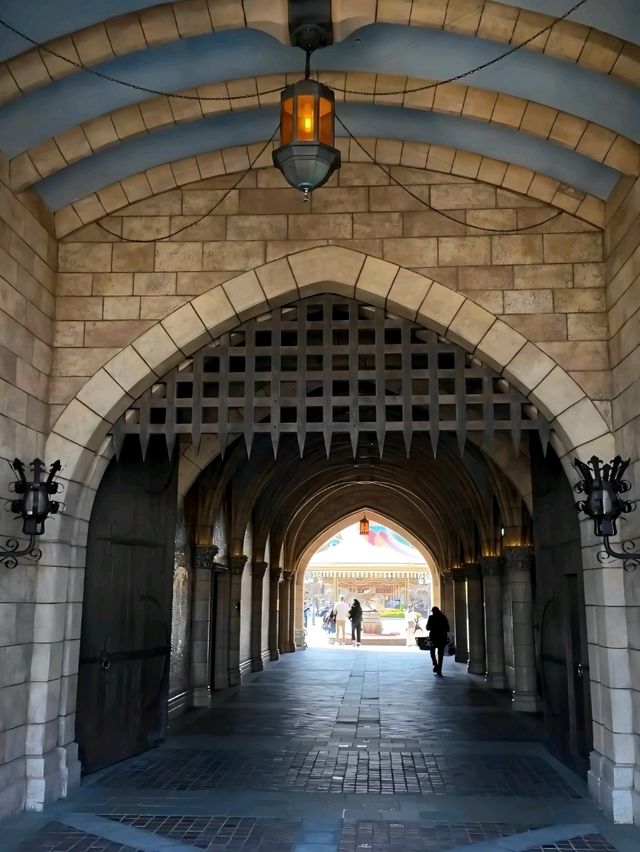 Dreams come true at Cinderella's castle in Tokyo Disneyland