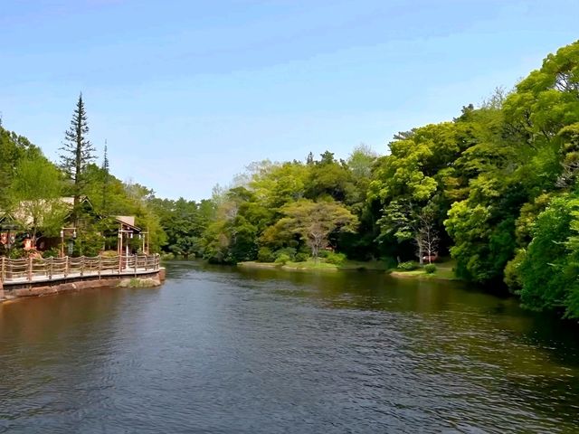 Floating Fun on the Mark Twain Riverboat