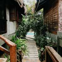 Tropical Whispers and Rustic Wonder