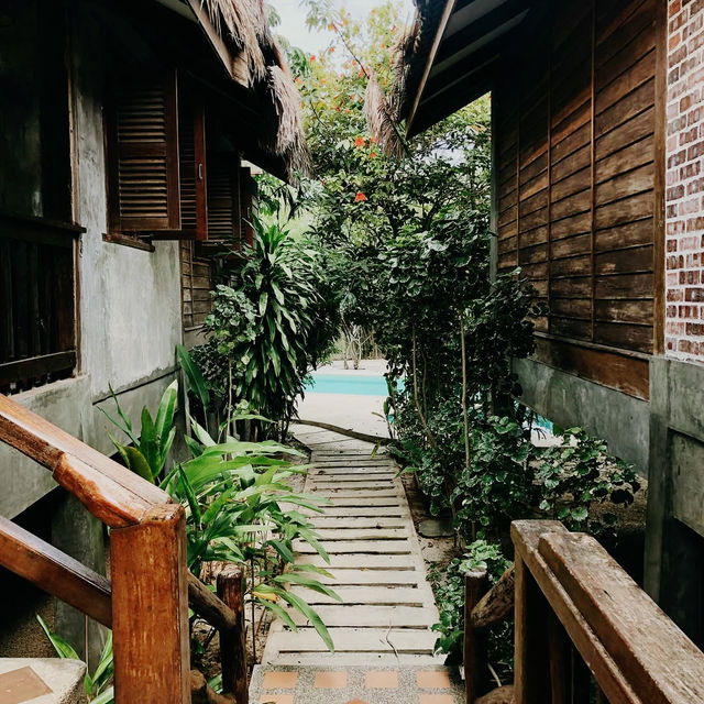 Tropical Whispers and Rustic Wonder