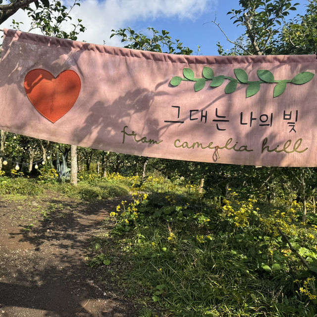 【済州旅行】自然を感じに行こう！！✨