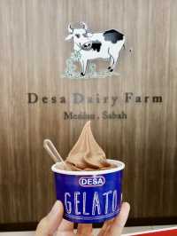 New Zealand Vibes in Sabah: A Highland Escape with Dairy Delights