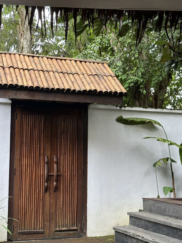 resort‑style ambiance, cozy rather than formal luxury experience  
