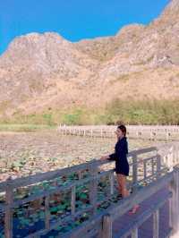 ศูนย์ศึกษาธรรมชาติบึงบัว เขาสามร้อยยอด