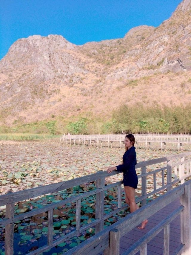 ศูนย์ศึกษาธรรมชาติบึงบัว เขาสามร้อยยอด