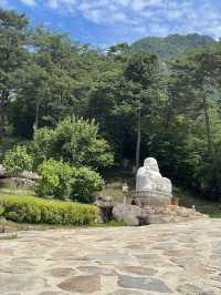 1300년의 역사 영월 법흥사 
