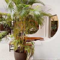 Banglo 289 Cafe