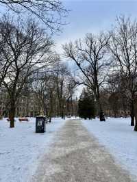 Winter Walk in Helsinki ❄️🇫🇮