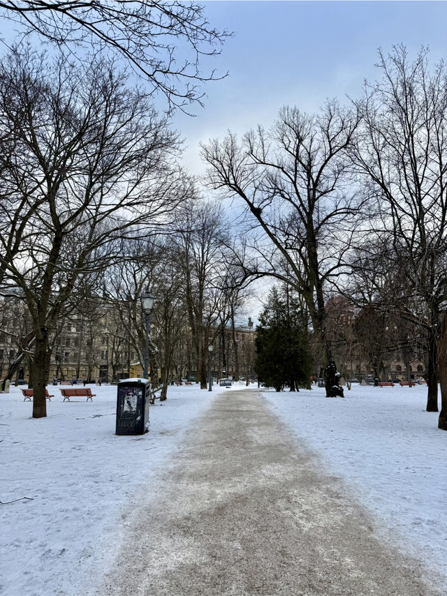 Winter Walk in Helsinki ❄️🇫🇮
