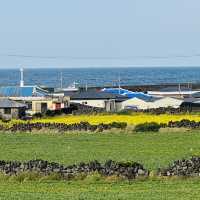 A Historic Coastal Fortress with Enduring Walls