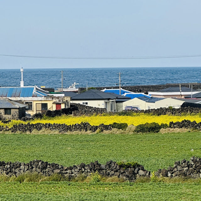 A Historic Coastal Fortress with Enduring Walls