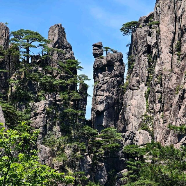 Huangshan / Yellow Mountain (Anhui)