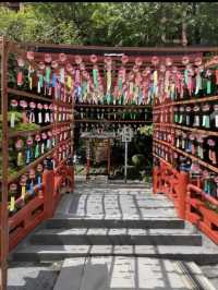 【祐徳稲荷神社】豪華絢爛な社殿と願いが届く神の地⛩️✨
