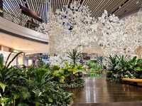 Changi Airport encounter, again!!!