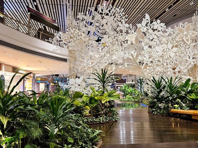 Changi Airport encounter, again!!!