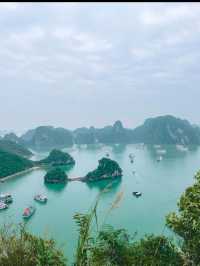 🚤世界遺産の絶景「ハロン湾」で、幻想的なクルーズ体験を