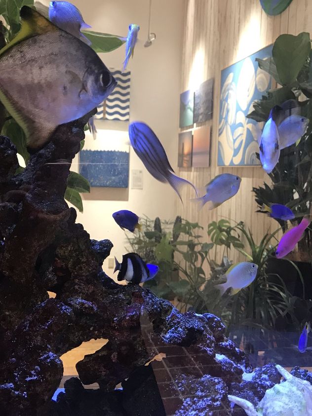 🐠 買い物中に癒やしのひととき──RHC Ron Herman MARK ISの水槽に癒される
