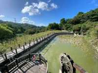 Zhangshu Trail in Wenshan, Chill Walks and Tree Vibes All Day