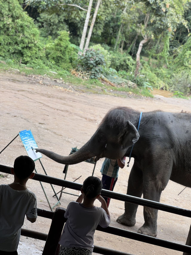 maetaeng elephant park