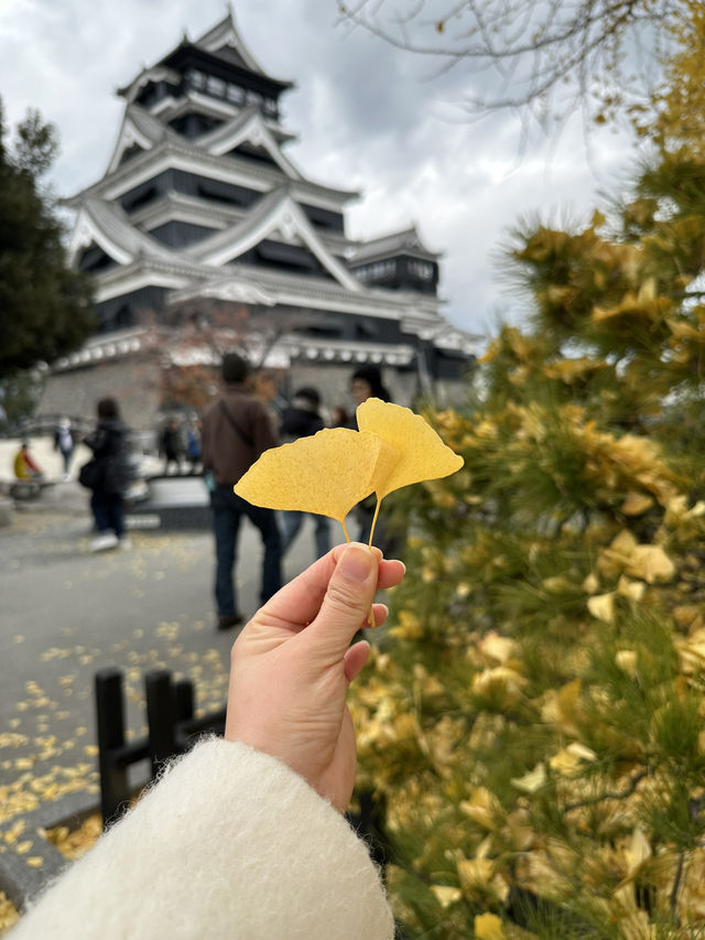 熊本除了熊本熊外🐻額外發現值得一日遊！