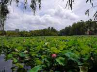 Emerald Mirror of Serenity