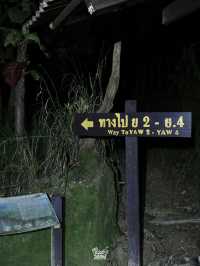 ไปเติมพลังให้ธรรมชาติโอบกอดกัน !!!