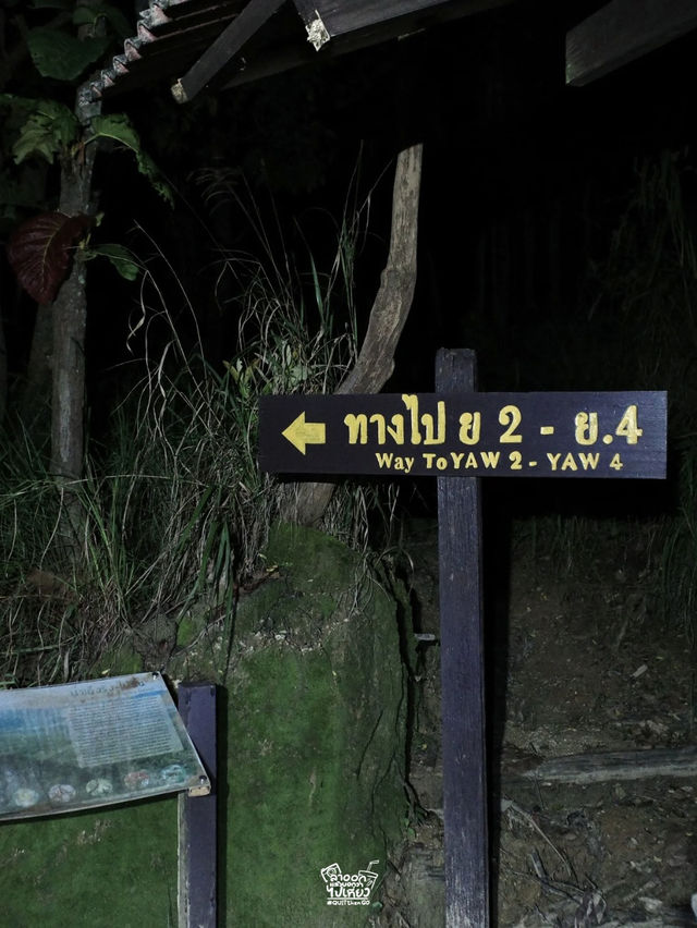 ไปเติมพลังให้ธรรมชาติโอบกอดกัน !!! ไปเติมพลังให้ธรรมชาติโอบกอดกัน !!!