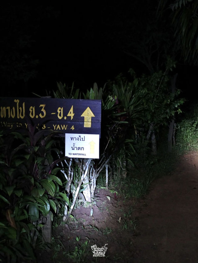 ไปเติมพลังให้ธรรมชาติโอบกอดกัน !!! ไปเติมพลังให้ธรรมชาติโอบกอดกัน !!!