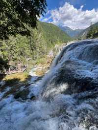 Fragile Beauty: The Magic of Pearl Shoal Waterfall