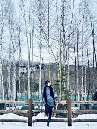 無論世界多麼冰冷， 只要心裡有光， 就能溫暖一切。《宮澤賢治》