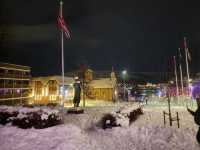Northern Lights and Arctic Wonders in Tromsø