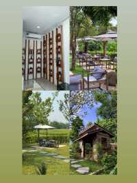 คาเฟ่เปิดใหม่  Taan Forest ใกล้น้ำตกขุนกรณ์