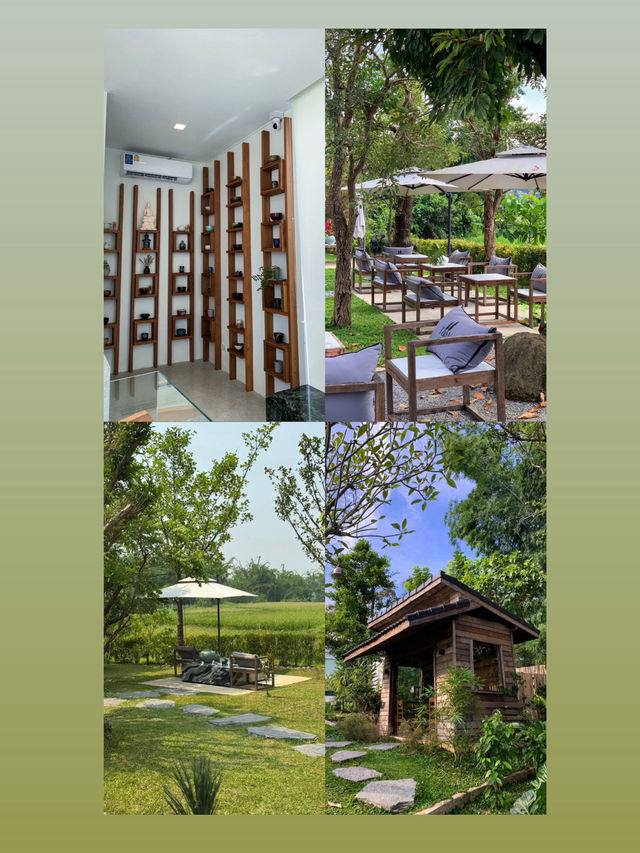คาเฟ่เปิดใหม่  Taan Forest ใกล้น้ำตกขุนกรณ์