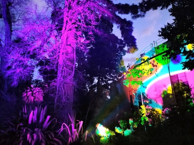 🎆Lightscape Part 1🎆