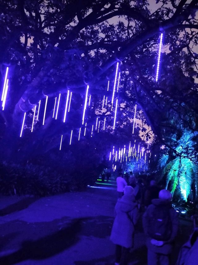 🎆Lightscape Part 1🎆